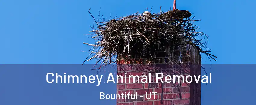 Chimney Animal Removal Bountiful - UT