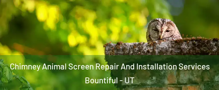  Chimney Animal Screen Repair And Installation Services Bountiful - UT