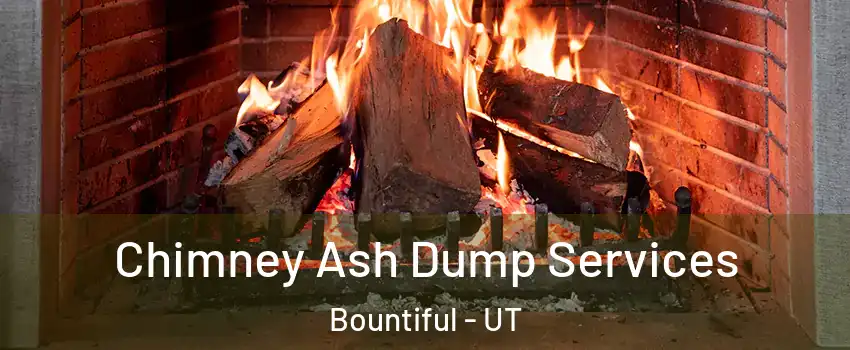  Chimney Ash Dump Services Bountiful - UT