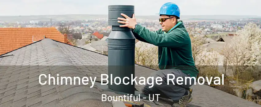  Chimney Blockage Removal Bountiful - UT