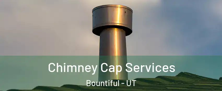 Chimney Cap Services Bountiful - UT