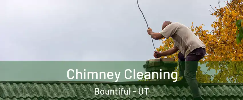  Chimney Cleaning Bountiful - UT