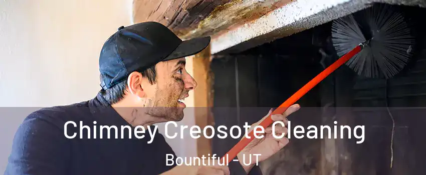  Chimney Creosote Cleaning Bountiful - UT