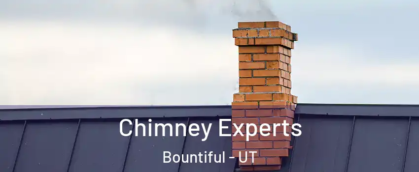 Chimney Experts Bountiful - UT