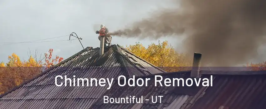  Chimney Odor Removal Bountiful - UT