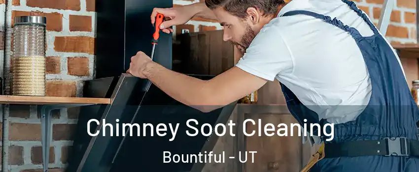  Chimney Soot Cleaning Bountiful - UT