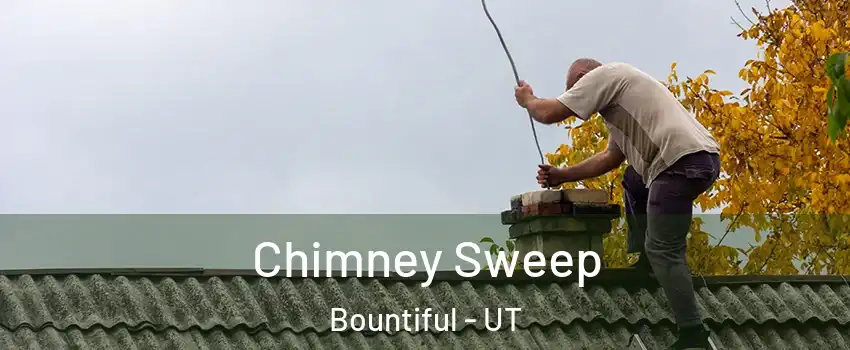  Chimney Sweep Bountiful - UT