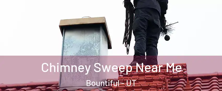  Chimney Sweep Near Me Bountiful - UT
