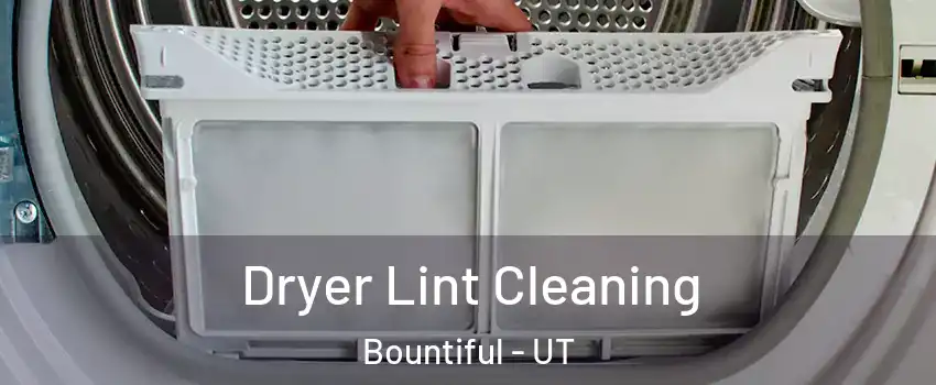  Dryer Lint Cleaning Bountiful - UT