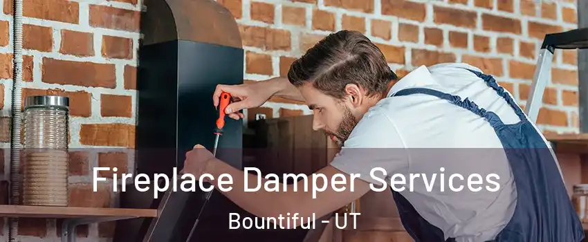  Fireplace Damper Services Bountiful - UT