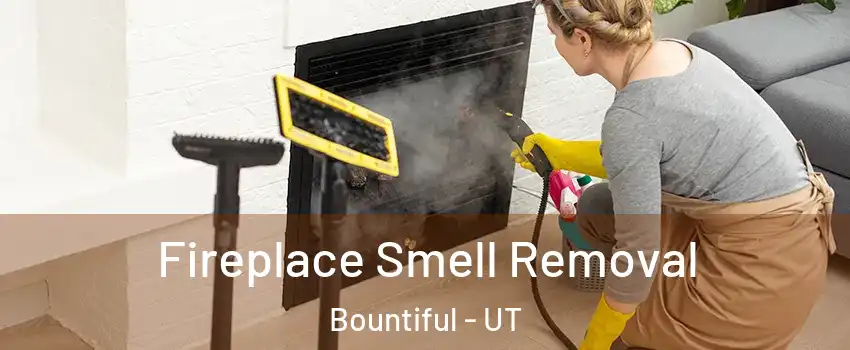  Fireplace Smell Removal Bountiful - UT
