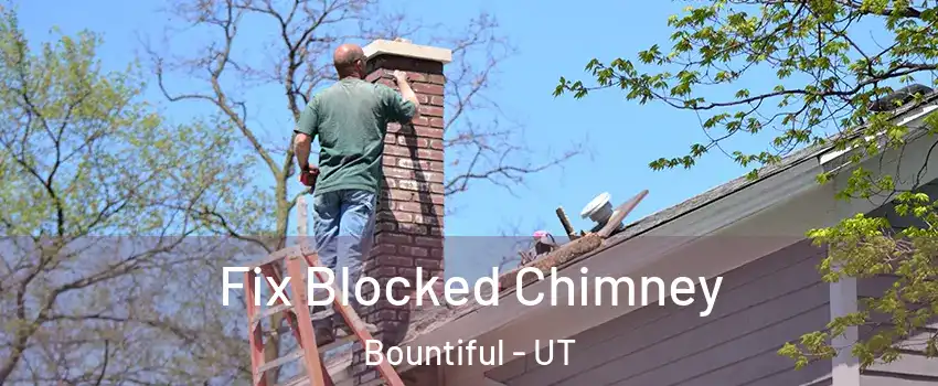  Fix Blocked Chimney Bountiful - UT