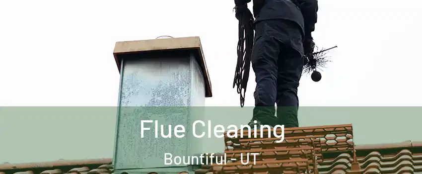  Flue Cleaning Bountiful - UT
