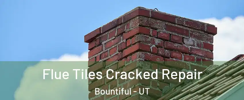  Flue Tiles Cracked Repair Bountiful - UT