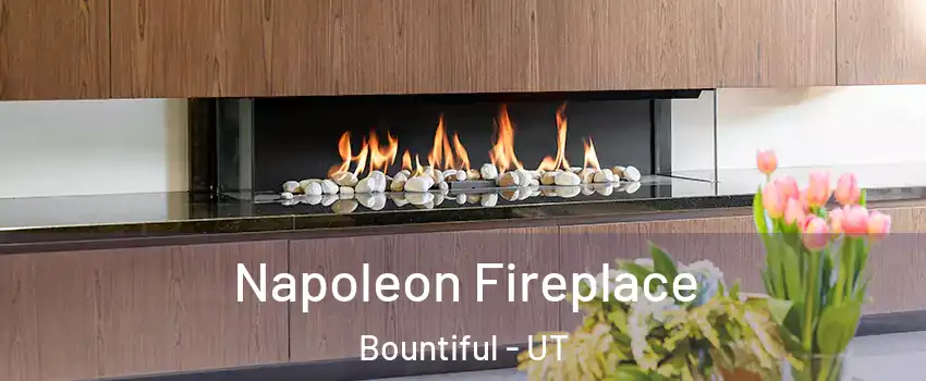 Napoleon Fireplace Bountiful - UT
