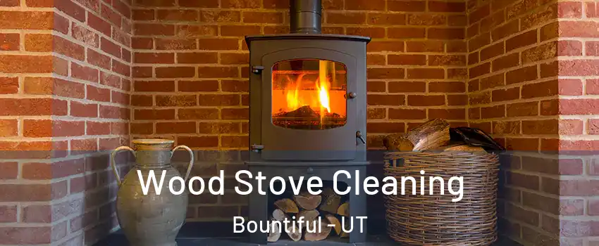  Wood Stove Cleaning Bountiful - UT